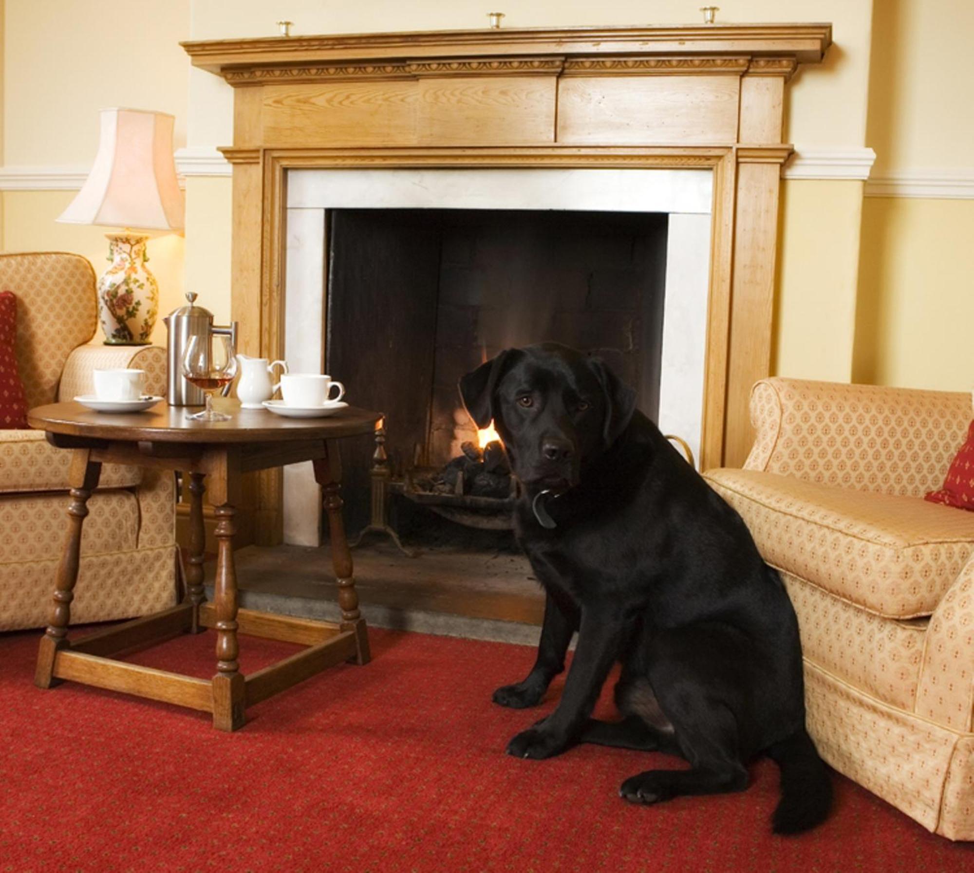 Worsley Arms Hotel Hovingham Стая снимка